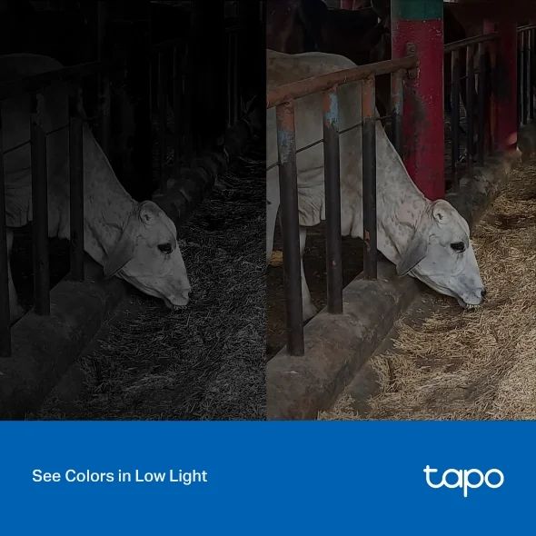 Tapo C320WS Outdoor 2K QHD Camera view 3